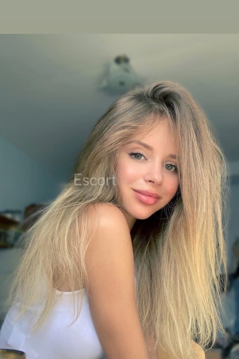 1200_1200_8f5fd7b4d53cea9a70926b6c9a4f5b34_big